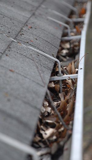 Gutters on flat roofs need maintenance - leaves constantly fill gutters up