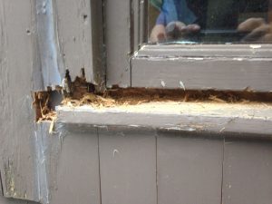 Windoe-sill-rotten-more