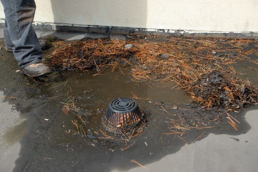 Flat Roof Drains - Roofs are Compromised Without Maintenance