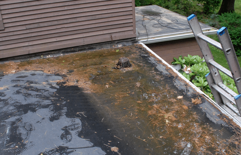 Drain positioned at low part of roof but nor recessed therefor collecting debris