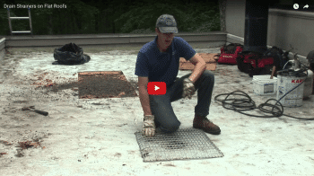 Flat Roof Drain and Strainers