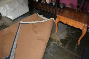 rugs damaged