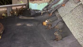 EPDM Rubber Membrane - Flat Roof Repair - CT - Westport