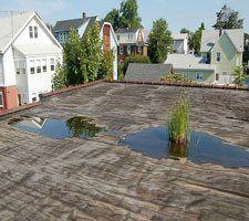 How to Fix a Flat roof - remove debris from drains so water can flow freely